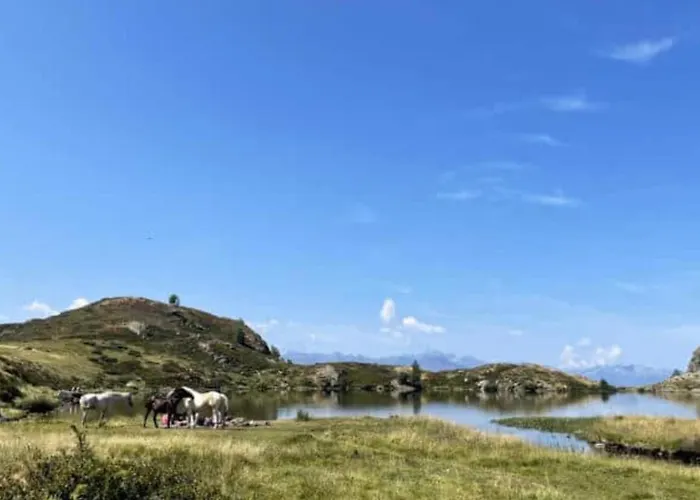 Mobil-home Avec Terrasse - 5 Personnes - Api-1-52-1426