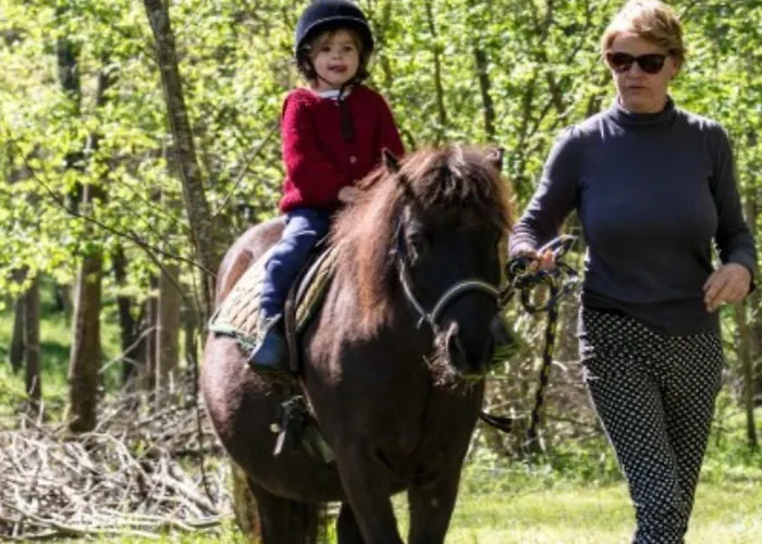 Mobil-home Avec Terrasse - 5 Personnes - Api-1-52-1426